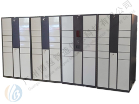 48 Doors Fingerprint + Card Swipe Smart Locker